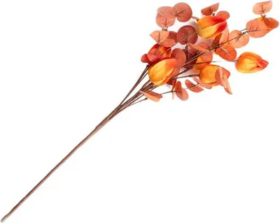 Produktbild von Kunstblumen Dekoblumen Kunstzweig Dekozweig Wohndeko MICHU orange 60 cm HOMLA