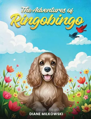 Produktbild von The Adventures of Ringobingo