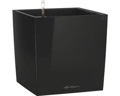 Obrázek produktu pro LECHUZA CUBE 50, Květináč, Volně stojící, Polypropylen (PP), Černá, Vnitřní, Černá