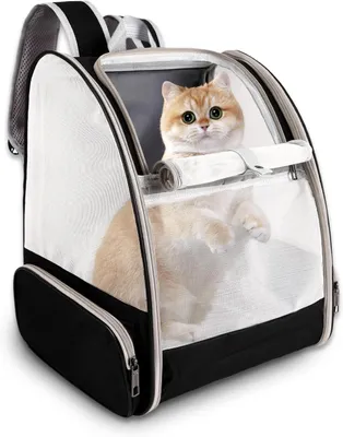 Produktbild von Flugtauglicher Rucksack – atmungsaktives Netzgewebe, für Katzen/kleine Hunde/Welpen/Kaninchen, Wandern/Camping
