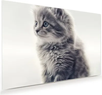 Produktbild von Glasbild 120x80cm in XXL für Wohnzimmer, Schlafzimmer Motiv Kitten Portrait