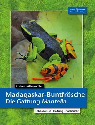 Obrázek produktu pro Madagaskar-Buntfrösche