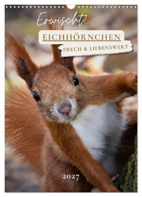 Produktbild von Erwischt! Eichhörnchen (Wandkalender 2027 DIN A3 hoch), CALVENDO Monatskalender