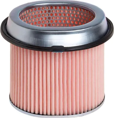 Obrázok produktu pre Vzduchový filter HENGST FILTER