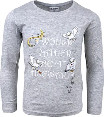 Produktbild von Langarmshirt Harry Potter Hedwig Grau 116 cm