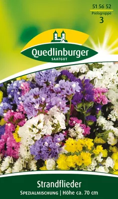 Produktbild von Quedlinburger Saatgut - Strandflieder Spezialmischung - Samen - 515652