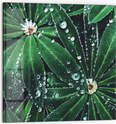 Produktbild von DEQORI Küchenrückwand Glas 60x60 cm 'Wasserperlenverzierung' Spritzschutz Bad Rückwand