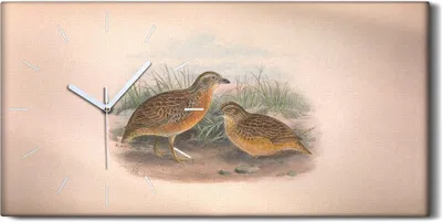 Produktbild von Leinwand Wanduhr Wandkunst Uhr Quarz 60x30 Vögel Wild Tiere Zeichnung Kunst - weiße Hände
