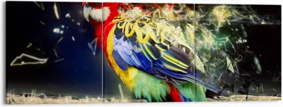 Produktbild von Bild auf Leinwand - Leinwandbild - Papagei Vogel Feder - 150x50cm - Wand Bild - Wanddeko - Leinwanddruck - Bilder - Kunstdruck - Wanddekoration - Leinwand bilder - Wandkunst - CA150x50-3682