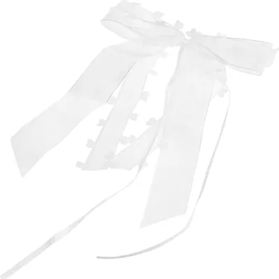 Produktbild von 10 Stück Autobänder, Antennenbänder, Hochzeitsautobänder, Organza-Herzbänder, Vintage-Antennenbanddekorationen, Auto-Hochzeitsdeko, Hochzeitsbänder für die Hochzeitsfeier