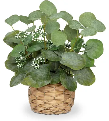 Obrázek produktu pro Umělá rostlina eukalyptus v květináči, výška 32 cm, zelená