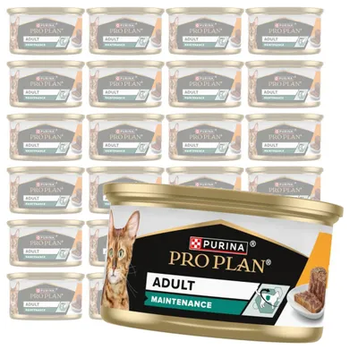 Zdjęcie produktu dla Purina Pro Plan Adult Maintenance 24x85g Mokra Karma Dla Kota Wilgotny Pasztet z Kurczakiem