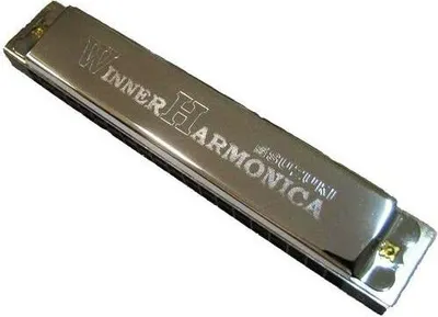 Immagine prodotto di Vincitore Suzuki W-20