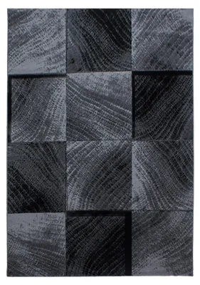 Image de Plus Blok tapis poils ras rectangle 280x370cm noir
