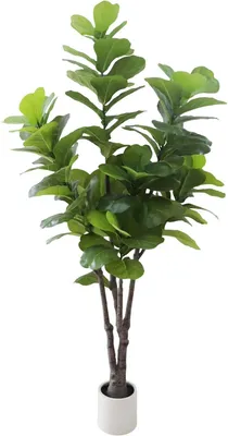 Productafbeelding van Kunstplant Ficus Lyrata (vioolbladfiguurboom), 183 cm – met witte pot – groen