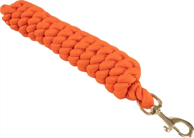 Produktbild von Shires Wessex Pferd Führstrick ER347 (Einheitsgröße) (Orange)
