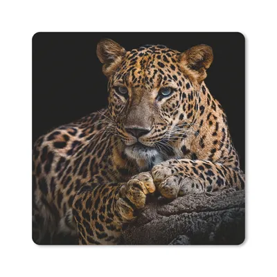 Produktbild von MuchoWow® Mauspad Mousepad Wildtiere - Panther - Porträt - Schwarz - Tiere 20x20 cm - Mousepads - Maus Mat - Pad - Mausunterlage - Desk Mat - Bureauartikeln