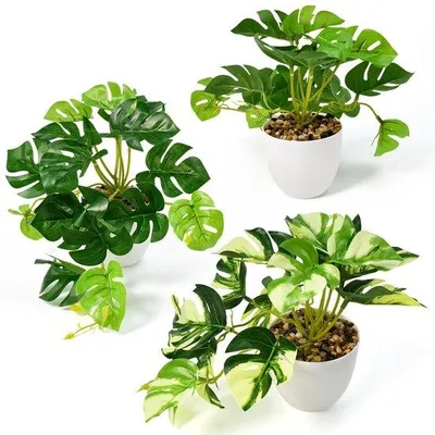 Obrázok produktu pre Sada 3 umelých rastlín Monstera, 20 cm, na balkón a do kúpeľne