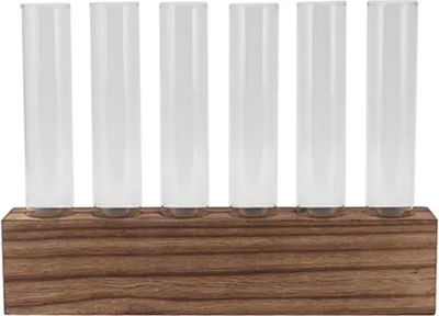 Obrázok produktu pre Sklenená stanica na rozmnožovanie rastlín Trubice na rozmnožovanie rastlín Stolné rastlinné terárium s dreveným stojanom Mini skúmavka Home Decor 6 rúrok