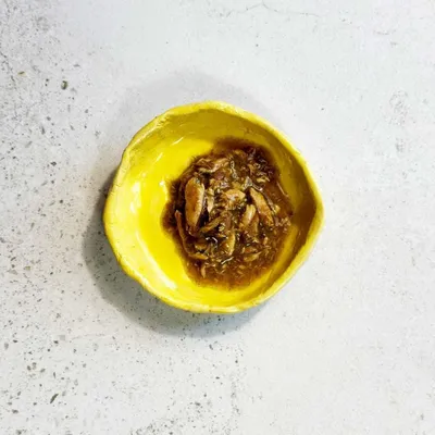 Immagine prodotto di Gatto OLLO n. 8 Tonno e alghe in brodo - cibo umido per gatti - 70 g