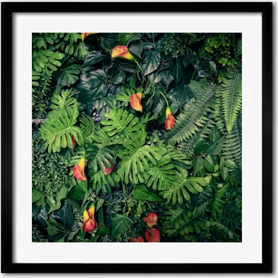 Produktbild von Bild - 50 cm x 50 cm - MDF - Rahmen, Wandkunst - Exotischer Dschungel
