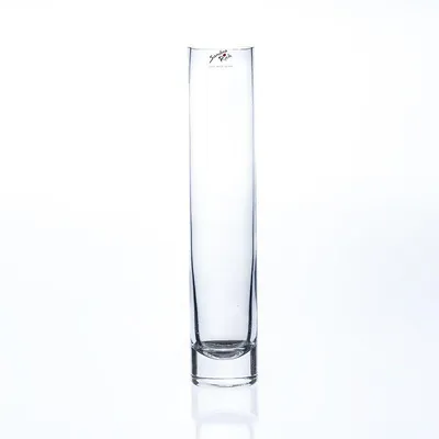 Produktbild von 6er Set Glasvasen Blumenvasen SOLIFLEUR H. 30cm D. 5cm rund klar Sandra Rich