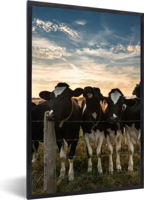 Produktbild von MuchoWow® Gerahmtes Poster Tiere - Kuh 60x90 cm - Poster mit Schwarzem Bilderrahmen Wandposter Rahmen Foto Bilder - Kunst