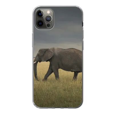 Produktbild von MuchoWow® Handyhülle Schutzhülle Hülle für iPhone 12 Pro Max Elefant - Savanne - Tiere - Natur Silikon Softcase Handy Hülle - Hartschale