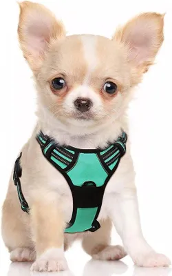 Immagine prodotto di Famanu, guinzaglio antistrappo per cani - verde, taglia S