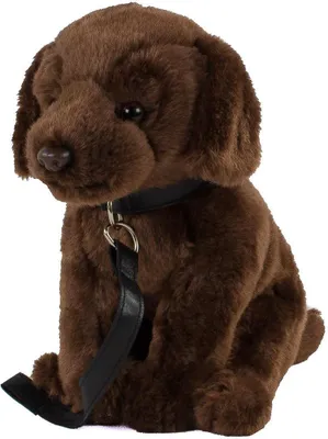 A plush toy dog sits facing forward with a leash attached to its collar.