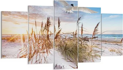 Produktbild von Bild auf Leinwand - Leinwandbild - 5 Teile - Möwe Meer Küste - 160x85cm - Wand Bild - Wanddeko - Wandbilder - Leinwanddruck - Bilder - Wanddekoration - Leinwand bilder - Wandbild - EA160x85-4902