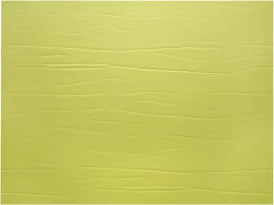Obrázok produktu pre daff - Podložka pod tanier Leatherixx Dumbo 31 x 42 cm, limetková