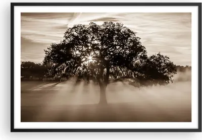 Produktbild von Gerahmtes Poster - Schwarzer Rahmen - Baum Feld Natur - 91,5x61 cm - Wand Bild - Wanddeko - Wandbilder - Kunstposter - Wandposter - Bilderrahmen - Bilder - Kunstdruck - Wandbild - P2BAA91x61-3811