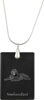 Image de Terre-Neuve - Pendentif en cristal avec chien, collier en argent avec photo, pendentif personnalisé de la marque Art-Dog