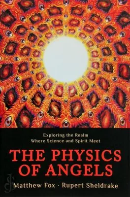 Immagine prodotto di The Physics of Angels