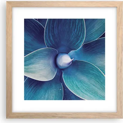 Produktbild von Gerahmtes Poster - Rahmen in heller Eiche - Agave Blau Blume - 30x30 cm - Wand Bild - Wanddeko - Wandbilder - Kunstposter - Wandposter - Bilderrahmen - Bilder - Kunstdruck - P2NAC30x30-4972