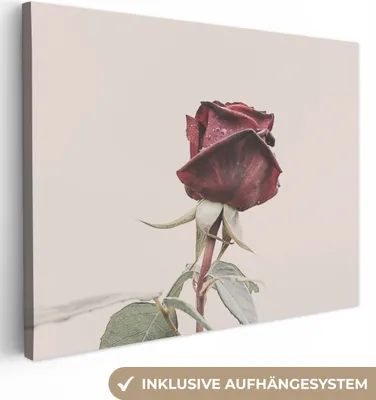 Obrázok produktu pre MuchoWow® - Plátno - Kvety - Červená - Ruže - Zelená, nástenná maľba, nástenné dekorácie obrazy obývacia izba, 80x60cm