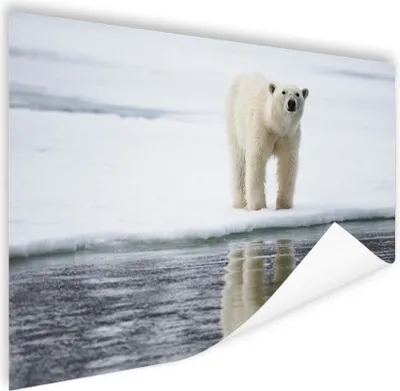 Produktbild von MuchoWow® Poster Eisbär - Wasser - Schnee 60x40 cm - Schlafzimmerdekoration
