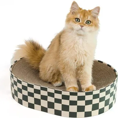 Image de Griffoir ovale 2 en 1 pour chat d'intérieur