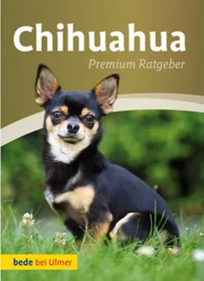 Image de Chihuahua