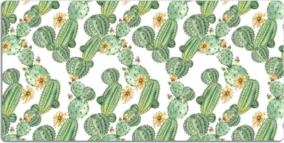 Produktbild von Schreibtischmatte Tischunterlage 100x50 cm Mauspad - Kakteen mit Blumen