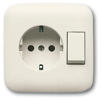Immagine prodotto di Busch Jaeger 4310/6 EUJ-212-500 Steckdose CEE 7/3 Beige (1611-0-0102)