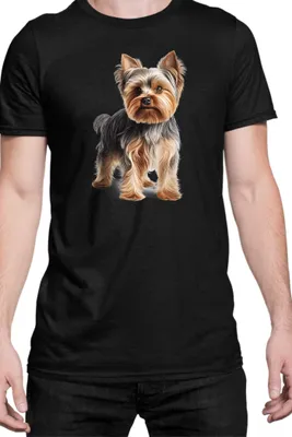 Produktbild von Herren T-Shirt Dogs Breeds Yorkshire Terrier Dog Breed 005, Man 3XL / Schwarz