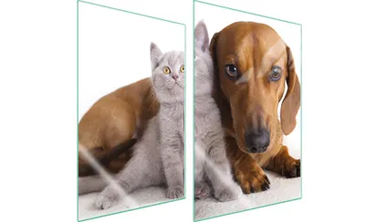 Produktbild von Herdabdeckplatten 2 teilig 35x52 Glaskeramikkochfeld Abdeckung Glas Schneidebrett Katze Hund