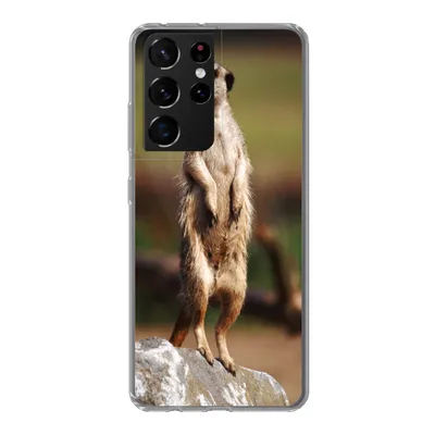 Produktbild von MuchoWow® Handyhülle Schutzhülle Hülle für Samsung Galaxy S21 Ultra Erdmännchen - Tier - Spiel Silikon Softcase Handy Hülle - Mobiltelefon