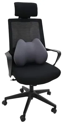 Productafbeelding van Traagschuim Rugkussen 40 x 32 cm