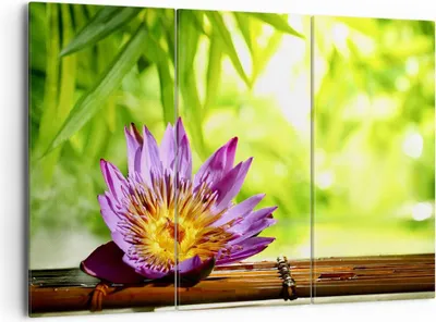 Produktbild von Bild auf Leinwand - Leinwandbild - Asien spa bambus blume - 165x110cm - Wand Bild - Wanddeko - Leinwanddruck - Bilder - Kunstdruck - Wanddekoration - Leinwand bilder - Wandkunst - CE165x110-2476