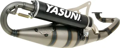 Immagine prodotto di Yasuni Auspuffanlage Scooter R mit Zulassung, Carbon compatible mit Yamaha Aerox Cat, Aprilia SR Racing LC Malaguti F12 Phantom AC Neos MBK Nitro Jog RR WWW R REX Rex Naked Adly