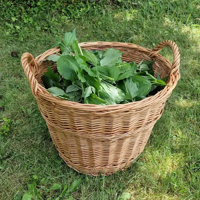 Produktbild von Kaminkorb Holzkorb Kaminholzkorb aus geschälten Weide Hell Ø 50 cm (Art. 90475-50)