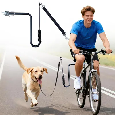 Produktbild von Fahrrad Hundeleine Freihand Abnehmbar 180° für Gassigehen Laufen Radfahren